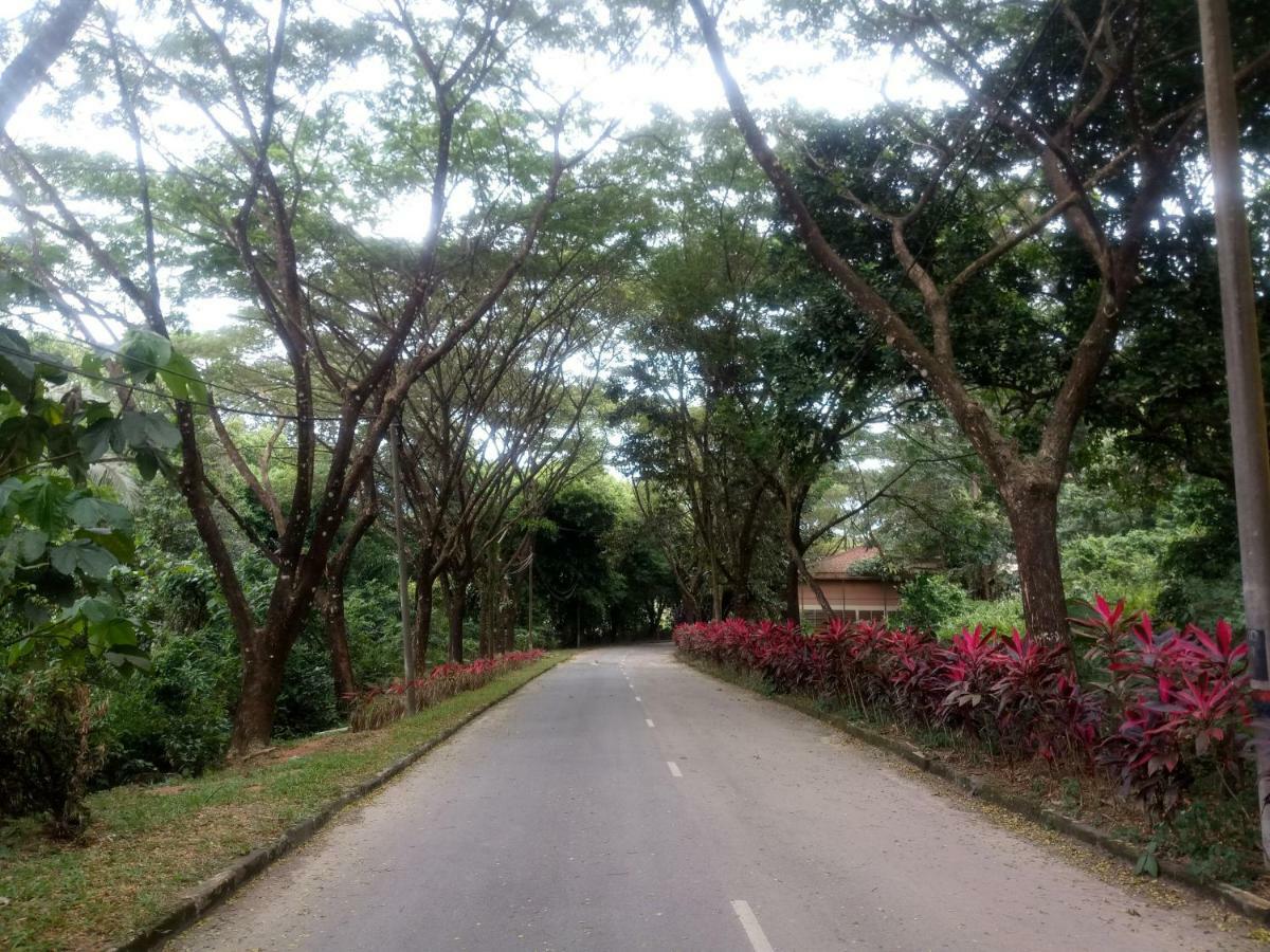 Janaview Taiping Hotel المظهر الخارجي الصورة